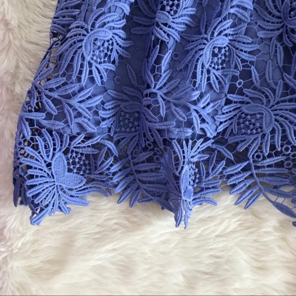 ANTONIO MELANI Blue Lace Midi Dress - Picture 9 of 15